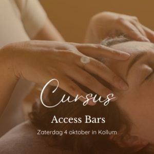 Cursus Access Bars