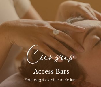 Cursus Access Bars